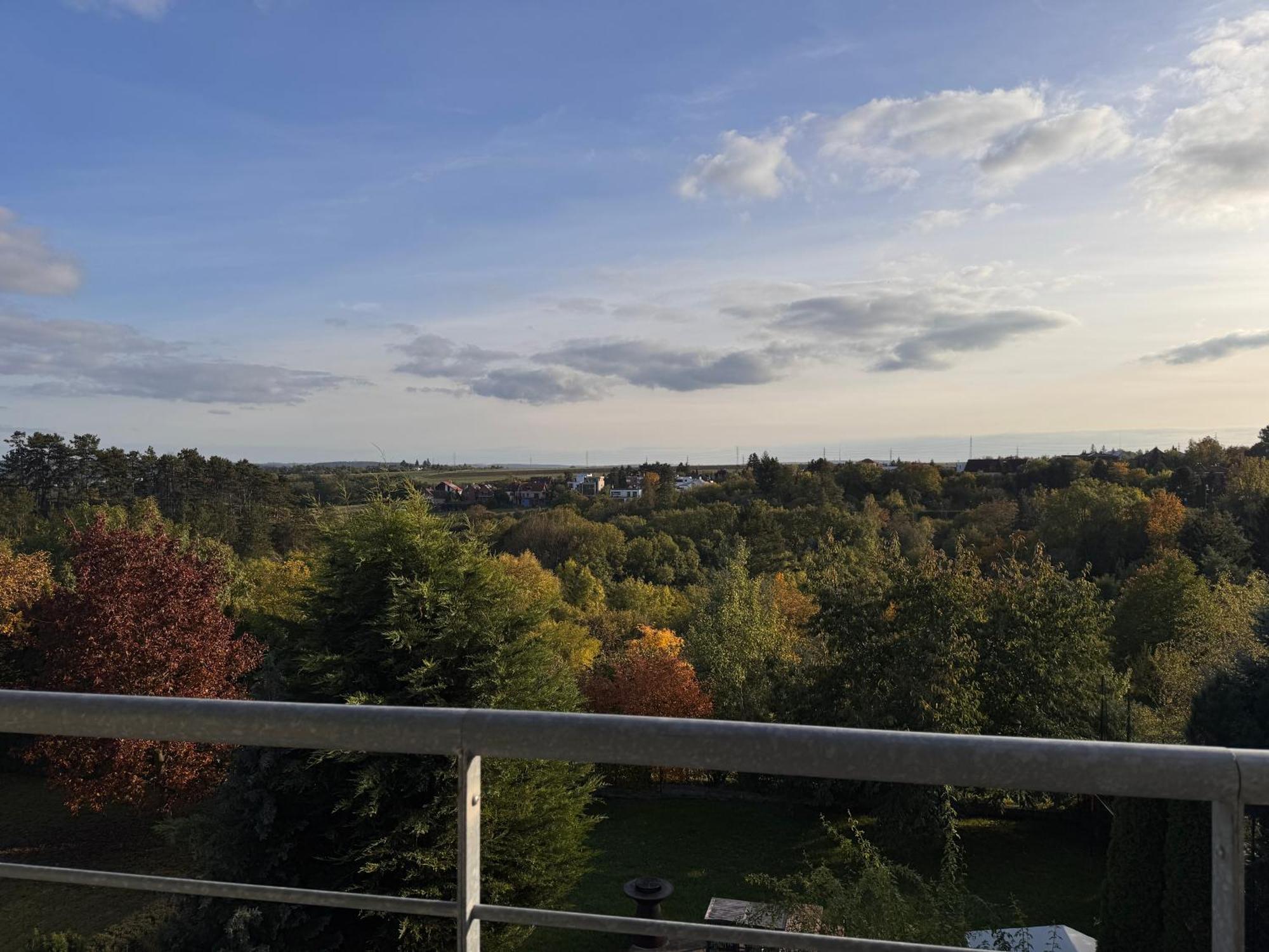 Diamondvilla, 4 Bedroom Apartment, Garden & Spa Prag Eksteriør billede